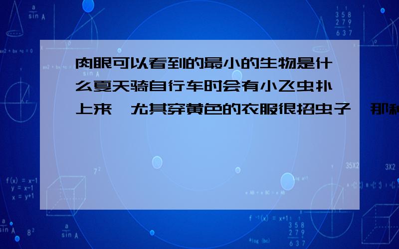 肉眼可以看到的最小的生物是什么夏天骑自行车时会有小飞虫扑上来,尤其穿黄色的衣服很招虫子,那种软软小小的虫子是我见过的最小的生物,一捏就成一点黑色的印记,仿佛不曾存在,可是它