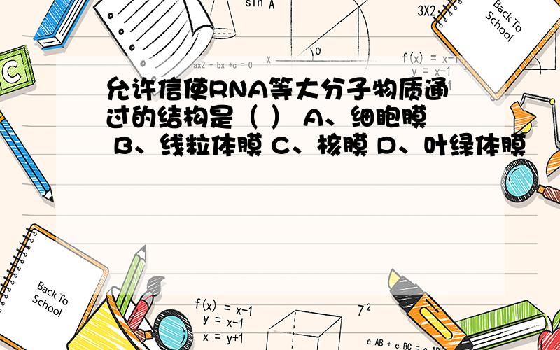 允许信使RNA等大分子物质通过的结构是（ ） A、细胞膜 B、线粒体膜 C、核膜 D、叶绿体膜