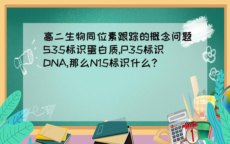 高二生物同位素跟踪的概念问题S35标识蛋白质,P35标识DNA,那么N15标识什么?