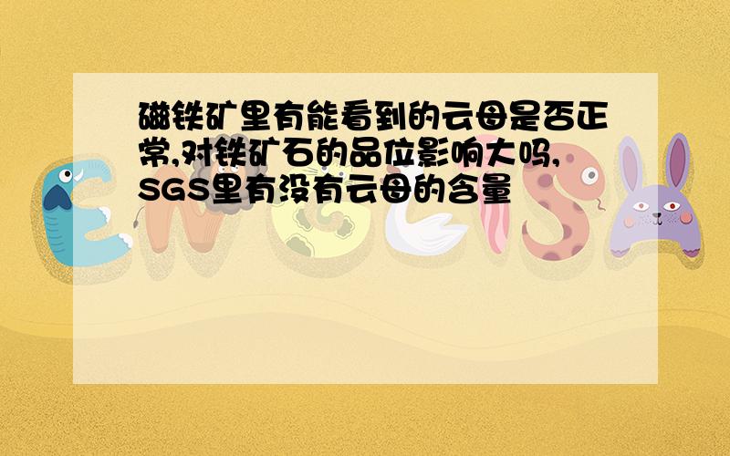 磁铁矿里有能看到的云母是否正常,对铁矿石的品位影响大吗,SGS里有没有云母的含量