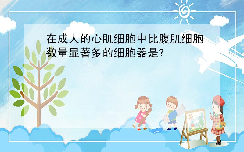 在成人的心肌细胞中比腹肌细胞数量显著多的细胞器是?