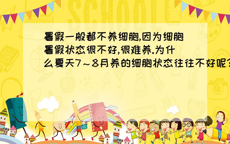 暑假一般都不养细胞,因为细胞暑假状态很不好,很难养.为什么夏天7～8月养的细胞状态往往不好呢?