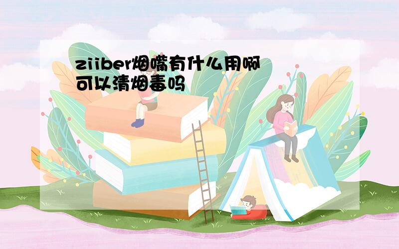 ziiber烟嘴有什么用啊 可以清烟毒吗