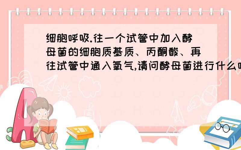 细胞呼吸.往一个试管中加入酵母菌的细胞质基质、丙酮酸、再往试管中通入氧气,请问酵母菌进行什么呼吸方式?