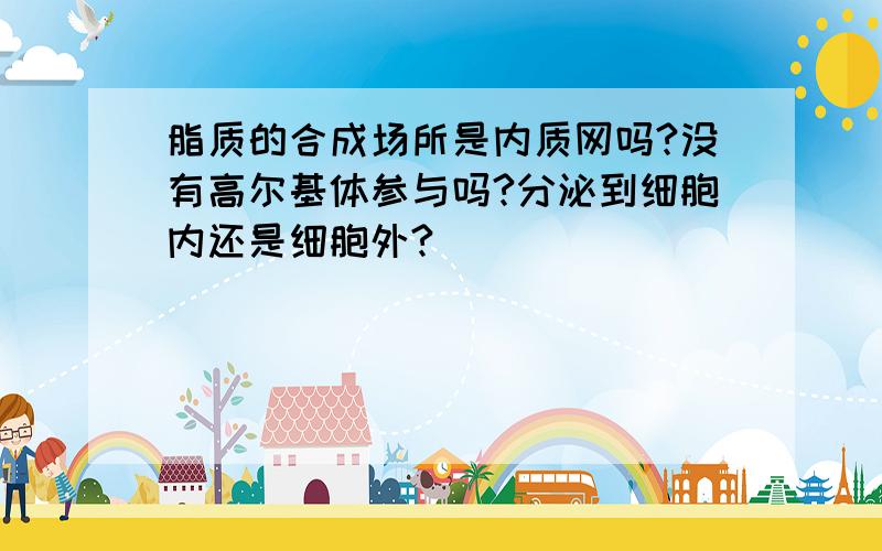 脂质的合成场所是内质网吗?没有高尔基体参与吗?分泌到细胞内还是细胞外?