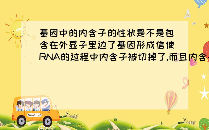 基因中的内含子的性状是不是包含在外显子里边了基因形成信使RNA的过程中内含子被切掉了,而且内含子的长度比外显子还要多,在翻译的过程中我们内含子怎么表达,不可能不翻译吧,不翻译不