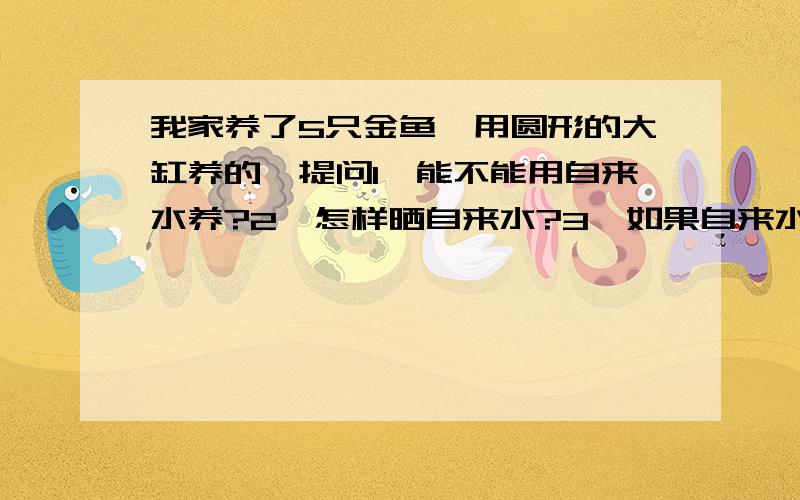 我家养了5只金鱼,用圆形的大缸养的,提问1、能不能用自来水养?2、怎样晒自来水?3、如果自来水用不成拿我家养了5只金鱼,用圆形的大缸养的,提问:1、能不能用自来水养?2、怎样晒自来水?3、