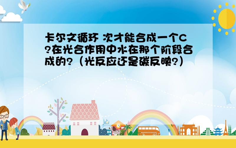 卡尔文循环 次才能合成一个C?在光合作用中水在那个阶段合成的?（光反应还是碳反映?）