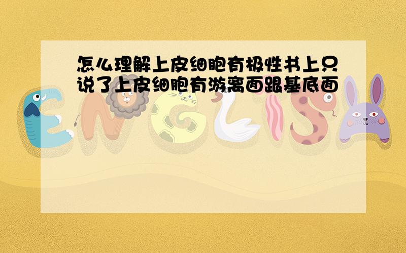 怎么理解上皮细胞有极性书上只说了上皮细胞有游离面跟基底面