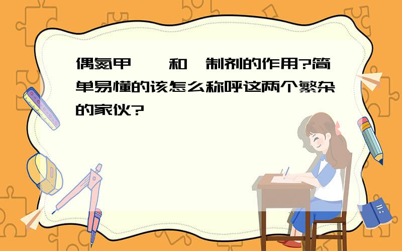 偶氮甲酰胺和酶制剂的作用?简单易懂的该怎么称呼这两个繁杂的家伙?