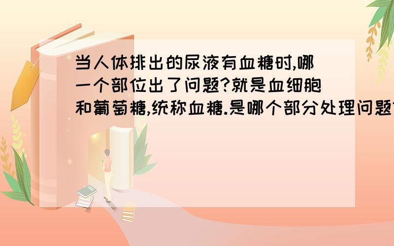 当人体排出的尿液有血糖时,哪一个部位出了问题?就是血细胞和葡萄糖,统称血糖.是哪个部分处理问题?是肾小管,肾小囊还是肾小球?我怕我会不太懂!）｛灰常感谢｝