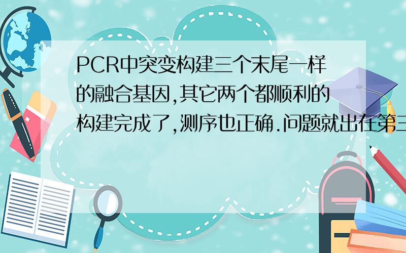 PCR中突变构建三个末尾一样的融合基因,其它两个都顺利的构建完成了,测序也正确.问题就出在第三个上,已经完全重新PCR三次并构建测序,尾部引物地方总是有突变,而且突变的位点也不完全一