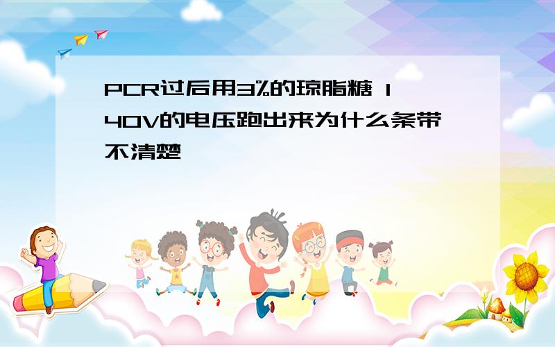 PCR过后用3%的琼脂糖 140V的电压跑出来为什么条带不清楚