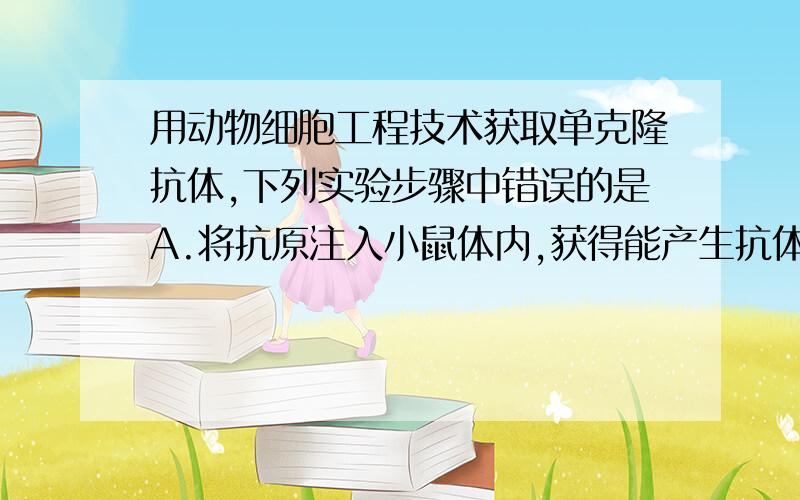 用动物细胞工程技术获取单克隆抗体,下列实验步骤中错误的是A.将抗原注入小鼠体内,获得能产生抗体的B淋巴细胞B.用纤维素酶处理B淋巴细胞与小鼠骨髓瘤细胞C.用聚乙二醇作诱导剂,促使能