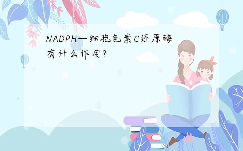 NADPH—细胞色素C还原酶有什么作用?