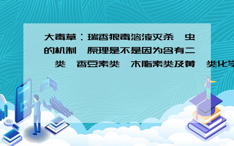 大毒草：瑞香狼毒溶液灭杀疥虫的机制、原理是不是因为含有二萜类、香豆素类、木脂素类及黄酮类化学成分.而二萜及双黄酮具有较强的杀虫活性.科学掌握炮制工艺和使用计量,可用于体表