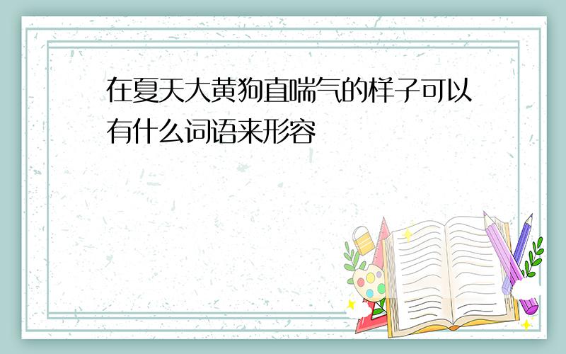 在夏天大黄狗直喘气的样子可以有什么词语来形容