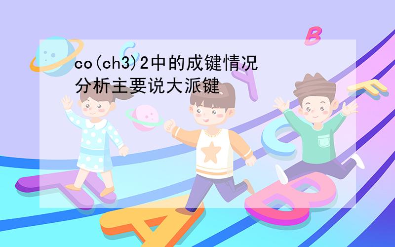 co(ch3)2中的成键情况分析主要说大派键