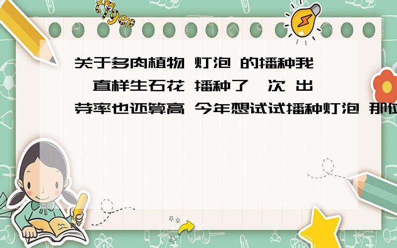 关于多肉植物 灯泡 的播种我一直样生石花 播种了一次 出芽率也还算高 今年想试试播种灯泡 那位大侠能提供点经验 说说具体步骤和与生石花的区别