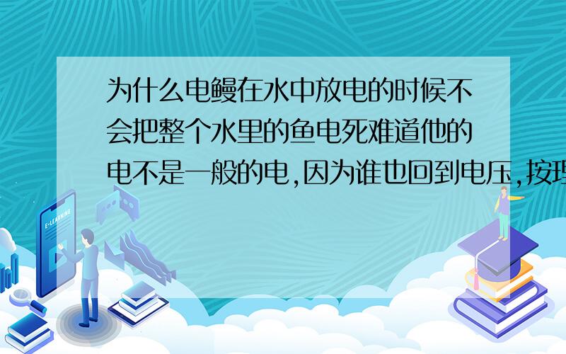 为什么电鳗在水中放电的时候不会把整个水里的鱼电死难道他的电不是一般的电,因为谁也回到电压,按理说只要水中游弋消除导电,整个水都会导电呀!那拿到他释放的电的进程有限以为水也会