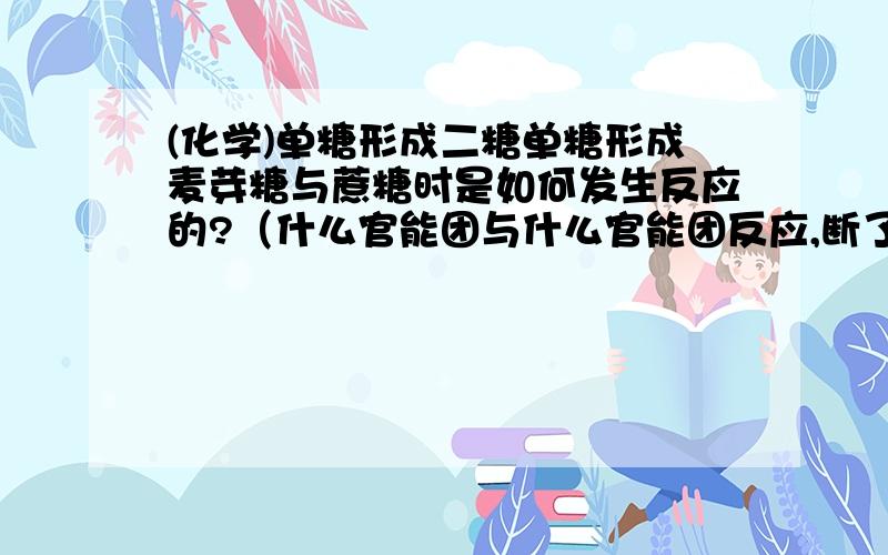 (化学)单糖形成二糖单糖形成麦芽糖与蔗糖时是如何发生反应的?（什么官能团与什么官能团反应,断了什么化学键,形成什么官能团,属于什么反应类型）回答时请尽量使用高中化学语言，避免