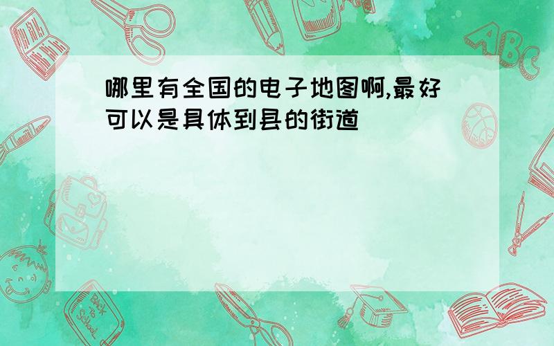 哪里有全国的电子地图啊,最好可以是具体到县的街道