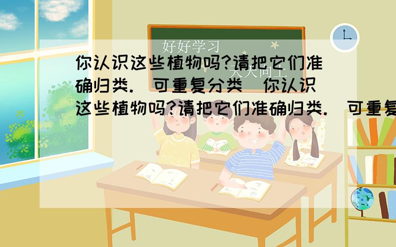 你认识这些植物吗?请把它们准确归类.（可重复分类）你认识这些植物吗?请把它们准确归类.（可重复分类）A.圆柏 B.芹菜 C.卷柏 D.水杉 E.小麦 F.紫菜 G.银杉 H.杏树 I.谷子 J.胡萝卜 K.高梁类别