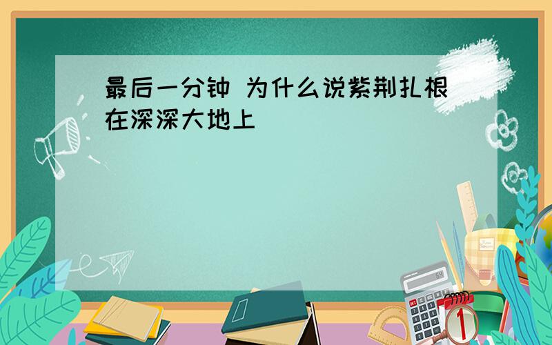 最后一分钟 为什么说紫荆扎根在深深大地上