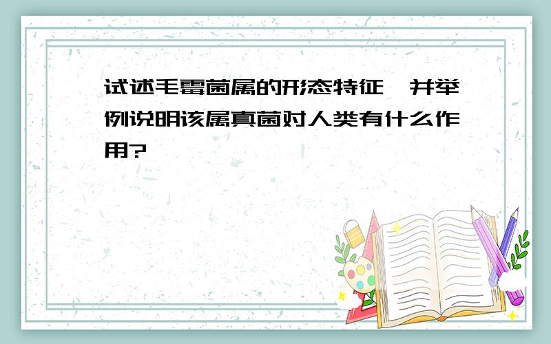 试述毛霉菌属的形态特征,并举例说明该属真菌对人类有什么作用?