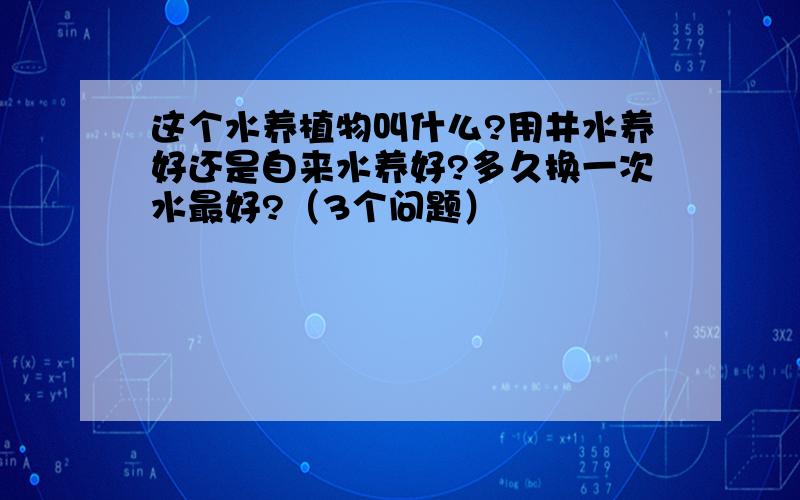 这个水养植物叫什么?用井水养好还是自来水养好?多久换一次水最好?（3个问题）