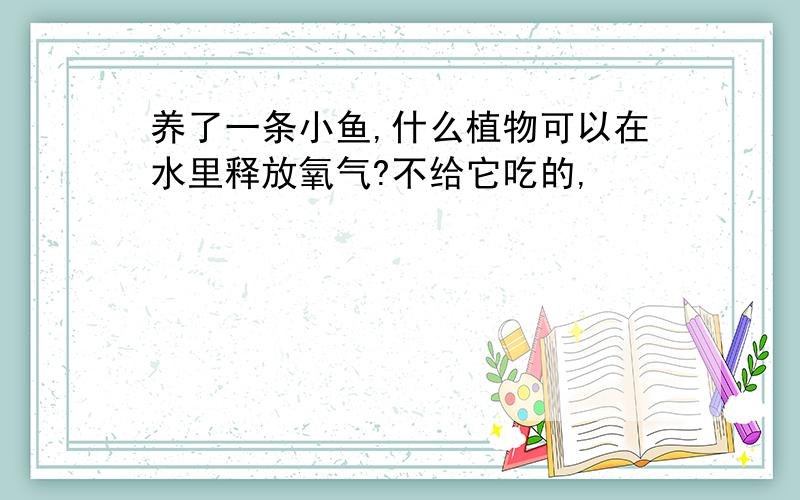 养了一条小鱼,什么植物可以在水里释放氧气?不给它吃的,