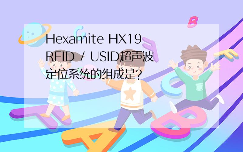 Hexamite HX19 RFID / USID超声波定位系统的组成是?
