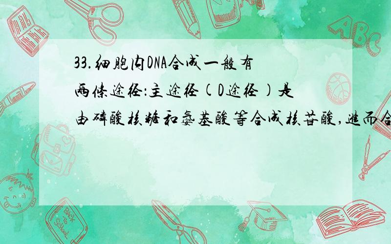 33.细胞内DNA合成一般有两条途径：主途径(D途径)是由磷酸核糖和氨基酸等合成核苷酸,进而合成DNA,叶酸作为重要的辅酶参与这一合成过程,而氨甲蝶呤是叶酸的拮抗剂,可阻断这一过程进而抑制