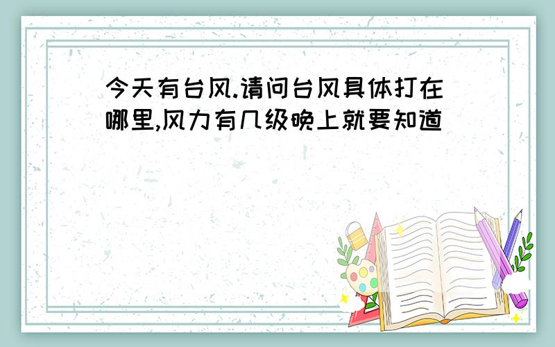 今天有台风.请问台风具体打在哪里,风力有几级晚上就要知道