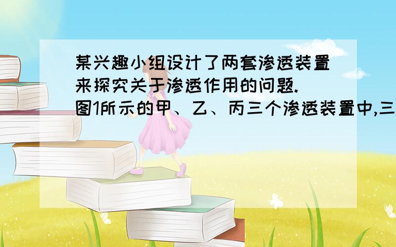 某兴趣小组设计了两套渗透装置来探究关于渗透作用的问题.）图1所示的甲、乙、丙三个渗透装置中,三个漏斗颈的内径相等,漏斗内盛有浓度相同的蔗糖溶液,且漏斗内液面高度相同,漏斗口均