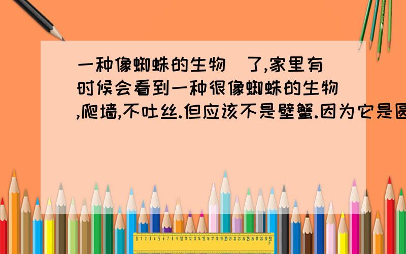 一种像蜘蛛的生物囧了,家里有时候会看到一种很像蜘蛛的生物,爬墙,不吐丝.但应该不是壁蟹.因为它是圆身的.我们这边讲粤语.知道它名字,但不知道普通话怎么说.为什么会有这种东西啊,我家