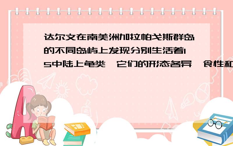 达尔文在南美洲加拉帕戈斯群岛的不同岛屿上发现分别生活着15中陆上龟类,它们的形态各异,食性和栖息场所也各有所不相同,但是,经过研究发现它们都保留着南美洲西海岸大陆龟类的痕迹,是