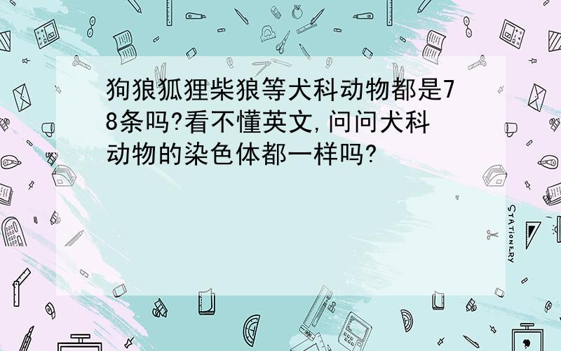 狗狼狐狸柴狼等犬科动物都是78条吗?看不懂英文,问问犬科动物的染色体都一样吗?