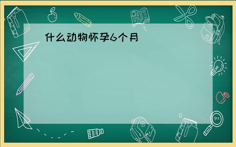 什么动物怀孕6个月