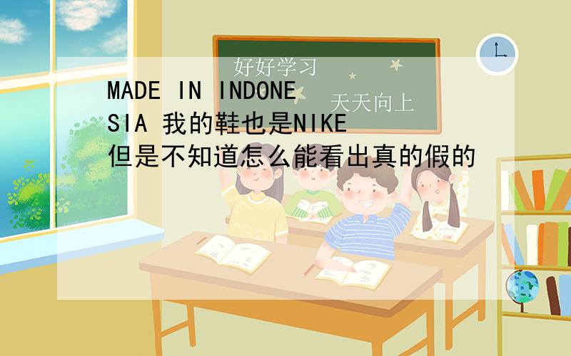 MADE IN INDONESIA 我的鞋也是NIKE 但是不知道怎么能看出真的假的