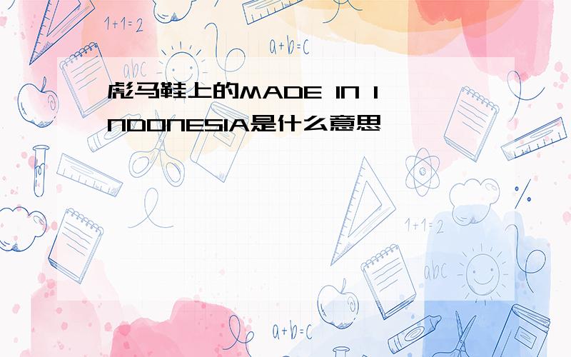 彪马鞋上的MADE IN INDONESIA是什么意思