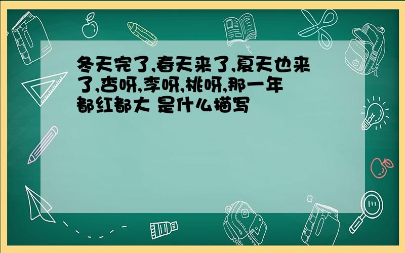 冬天完了,春天来了,夏天也来了,杏呀,李呀,桃呀,那一年都红都大 是什么描写