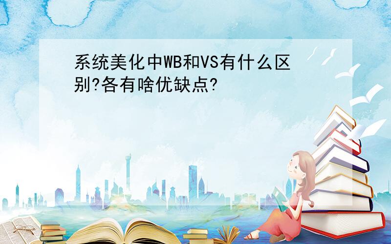 系统美化中WB和VS有什么区别?各有啥优缺点?