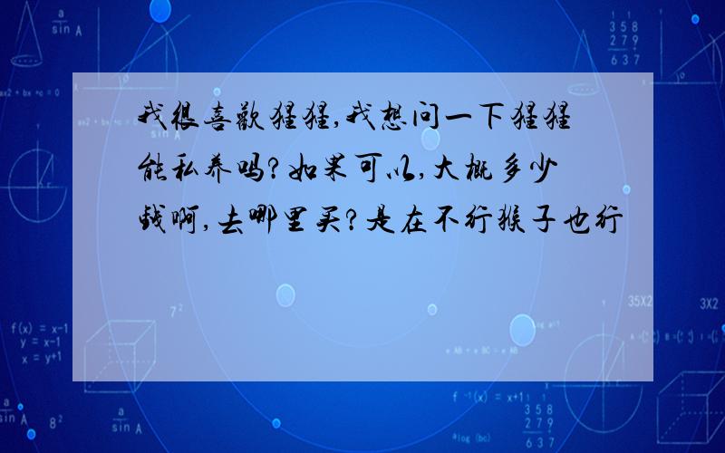 我很喜欢猩猩,我想问一下猩猩能私养吗?如果可以,大概多少钱啊,去哪里买?是在不行猴子也行