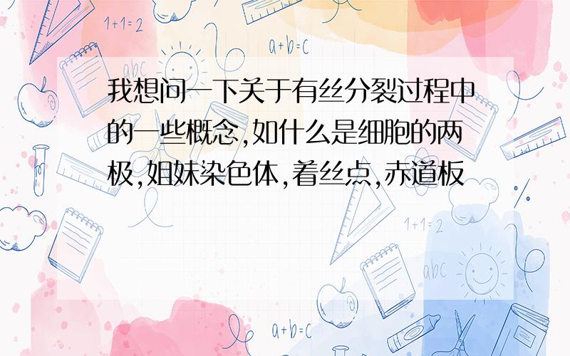 我想问一下关于有丝分裂过程中的一些概念,如什么是细胞的两极,姐妹染色体,着丝点,赤道板