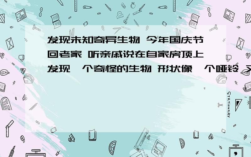 发现未知奇异生物 今年国庆节回老家 听亲戚说在自家房顶上发现一个奇怪的生物 形状像一个哑铃 又像二个蘑菇连在一起 大小15CM左右 白色 质软 表面粘粘的 两侧圆头上有好像嘴一样的东西