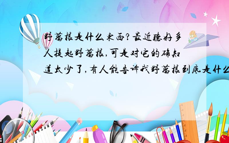 野葛根是什么东西?最近听好多人提起野葛根,可是对它的确知道太少了,有人能告诉我野葛根到底是什么东西吗?