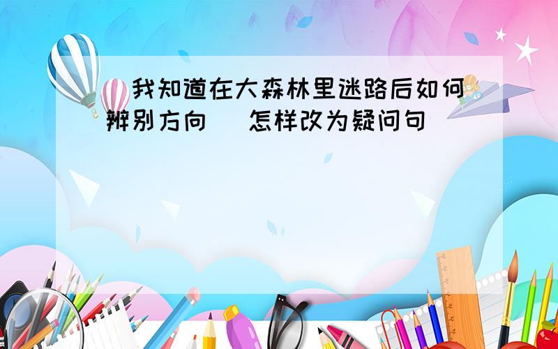 (我知道在大森林里迷路后如何辨别方向) 怎样改为疑问句