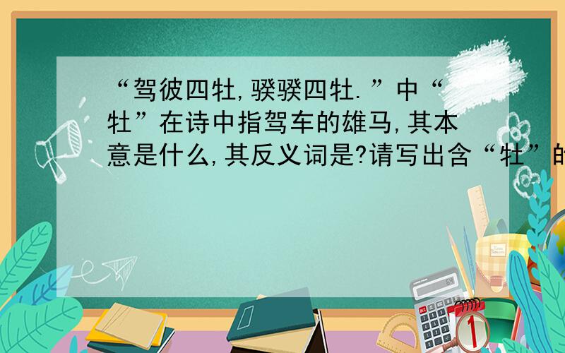 “驾彼四牡,骙骙四牡.”中“牡”在诗中指驾车的雄马,其本意是什么,其反义词是?请写出含“牡”的成语