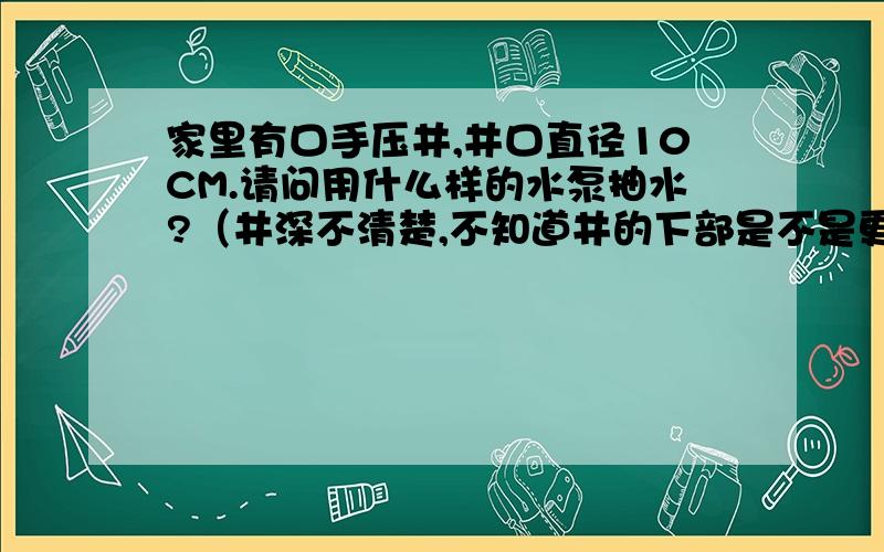 家里有口手压井,井口直径10CM.请问用什么样的水泵抽水?（井深不清楚,不知道井的下部是不是更细）